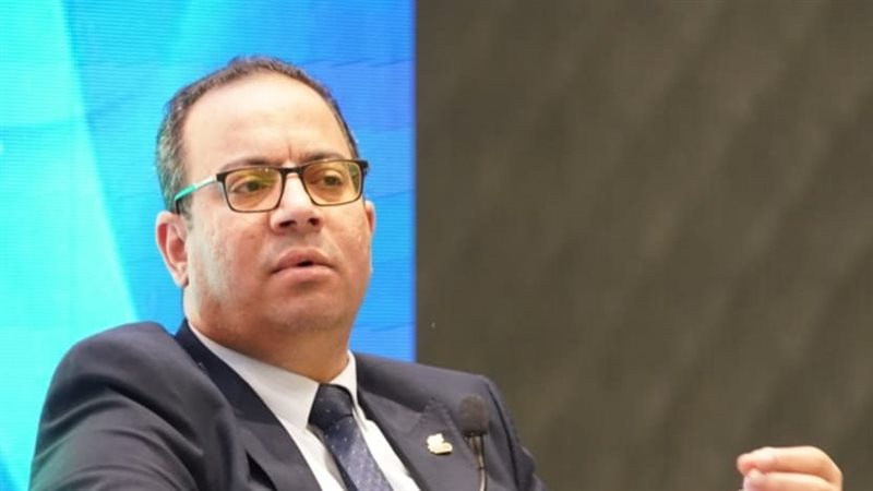 جميل حلمي مساعد وزيرة