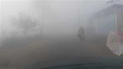 شبورة مائية كثيفة تغطي الطرق السريعة والزراعية في الدقهلية (فيديو وصور) 