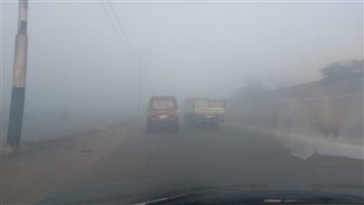 بسبب الشبورة، مرور الدقهلية يطالب المواطنين بتوخي الحذر أثناء القيادة (صور)