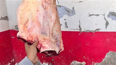 مديرية الطب البيطري بالأقصر تشن حملات مكبرة على محال الجزارة وبيع اللحوم