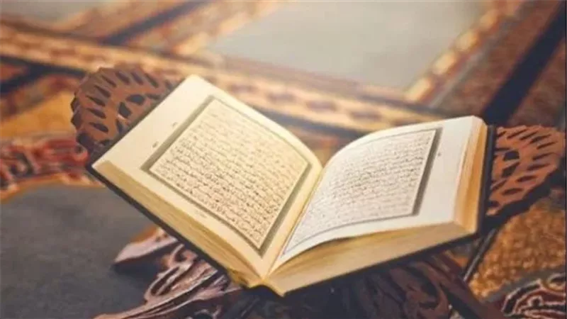الحلم والتأني، فيتو
