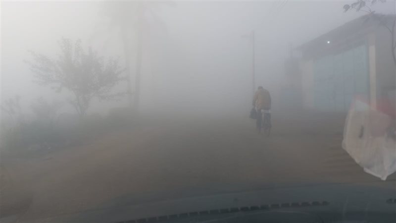 حالة الطقس غدا، فيتو