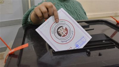  لماذا خسر مرشحو الأحزاب فى السباق الانتخابي؟.. التنظيمات الحزبية الكبيرة نجحت فى الحشد للمرشح الفائز.. ابتعاد المعارضين عن الاحتكاك بالشارع وغياب الدعم.. فى مقدمة المشكلات