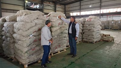 ضبط محطتين بعد بيع تقاوي بطاطس تحت الحجر الزراعي قبل صدور الإفراج الجمركي بالبحيرة