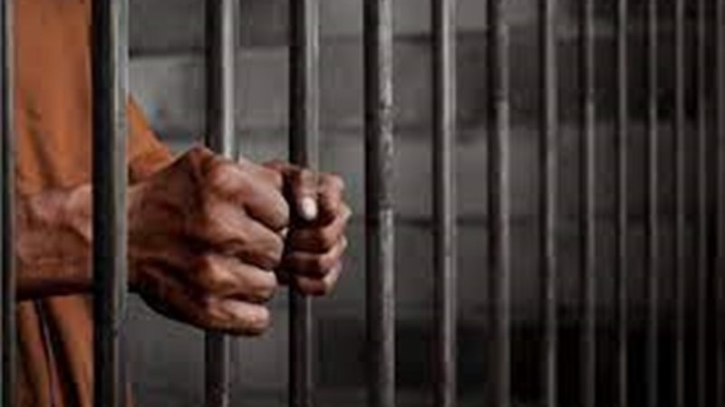 تجديد حبس عاطل، فيتو
