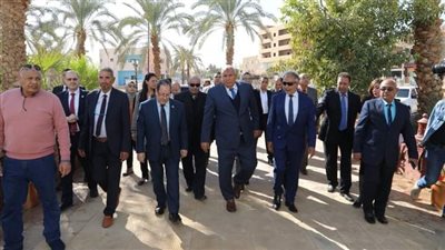 إنشاء أحدث منتجع طبي استشفائي للنهوض بالسياحة في الوادي الجديد 