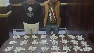 سقوط 7 عناصر إجرامية بحوزتهم مخدرات فى القاهرة (صور)