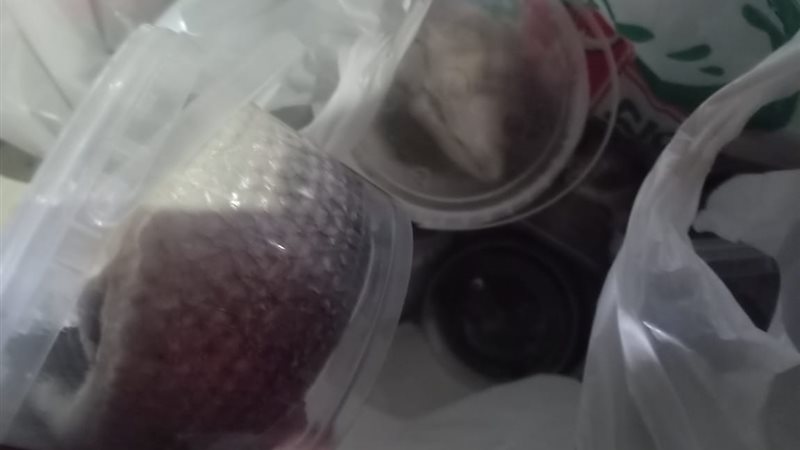 جزء من الأغذية الفاسدة،