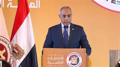 البنداري: انتخابات النواب على مرحلتين في 240 دائرة انتخابية