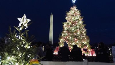 وراءها قصة والسعر مفاجأة، عرض شجرة متواضعة لعيد الميلاد للبيع في مزاد