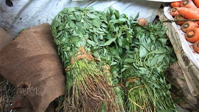 الملوخية بـ 12 جنيهًا، تعرف على أسعار الخضراوات في سوق العبور اليوم الثلاثاء