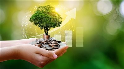 تقرير حديث: التكنولوجيا المناخية تتصدر أولويات الاستثمار في الاستدامة