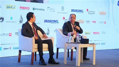 وزير المالية: نسعى لإصدار سندات بالروبية الهندية