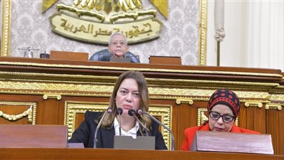 مطالبات برلمانية بتغيير استراتيجيات التعامل مع ملف الطاقة لمواجهة التحديات العالمية 