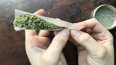  المعمل الكيمياوي يحدد مصير ديلر عثر بحوزته على مخدر الحشيش بالجيزة 