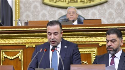 مجلس النواب يقر 4 تقارير باتفاقيات دولية 