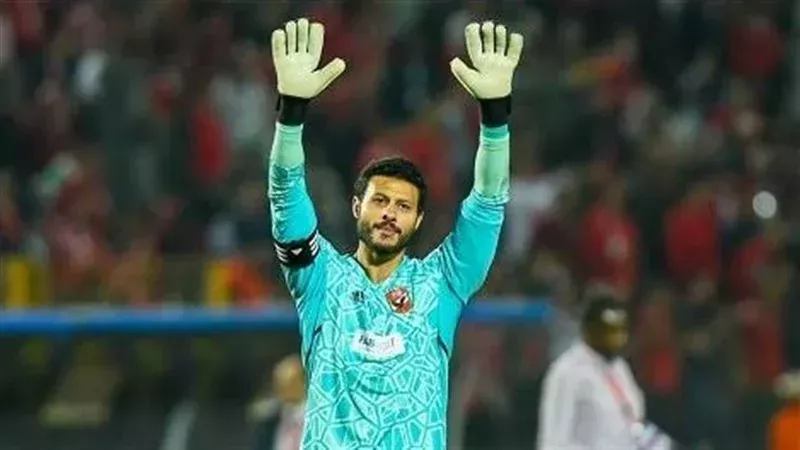 محمد الشناوي، فيتو