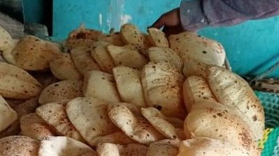 تحرير 6 محاضر خلال حملة تموينية مفاجئة على المخابز بفرافرة الوادي الجديد 