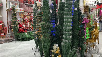 الأغلى بـ 4750 جنيهًا وهذه مواصفتها، أسعار شجرة الكريسماس 2024 في الأسواق (فيديو وصور)