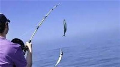  تفسير حلم صيد السمك في المنام وعلاقته بالمشاكل والخداع 