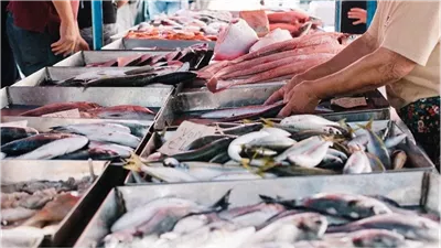 رئيس تنمية البحيرات يكشف السبب وراء ارتفاع أسعار الأسماك (فيديو)