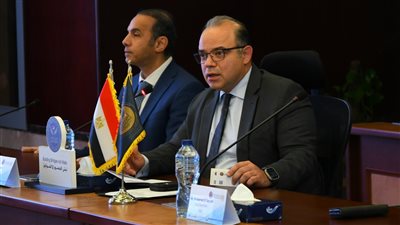 الرقابة المالية: زيادة الحد الأقصى لتمويل المشروعات متناهية الصغر إلى 220 ألف جنيه