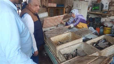 الغرفة التجارية بالإسماعيلية تتابع توافر السلع الغذائية بالمعرض الدائم بنادي المنتزه