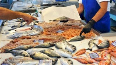 تفسير حلم شراء السمك في المنام وعلاقته بمواجهته مشاكل صعبة 