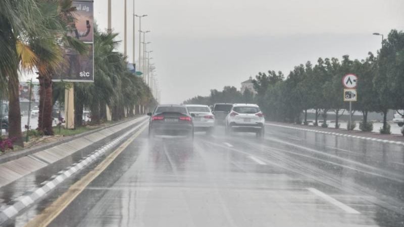 حالة الطقس غدا، فيتو