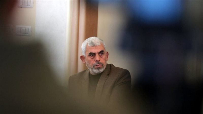 يحيى السنوار، فيتو