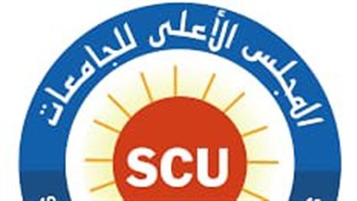 الأعلى للجامعات: التكنولوجيا والذكاء الاصطناعي حجر الزاوية في بناء القدرات الوطنية