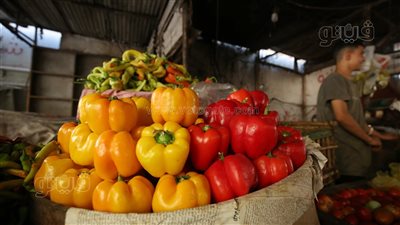 أسعار الخضراوات اليوم، 35 جنيهًا أعلى سعر لكيلو الفلفل في سوق العبور