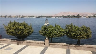 نشاط للرياح مثيرة للأتربة ودرجات الحرارة تسجل 22 في الأقصر