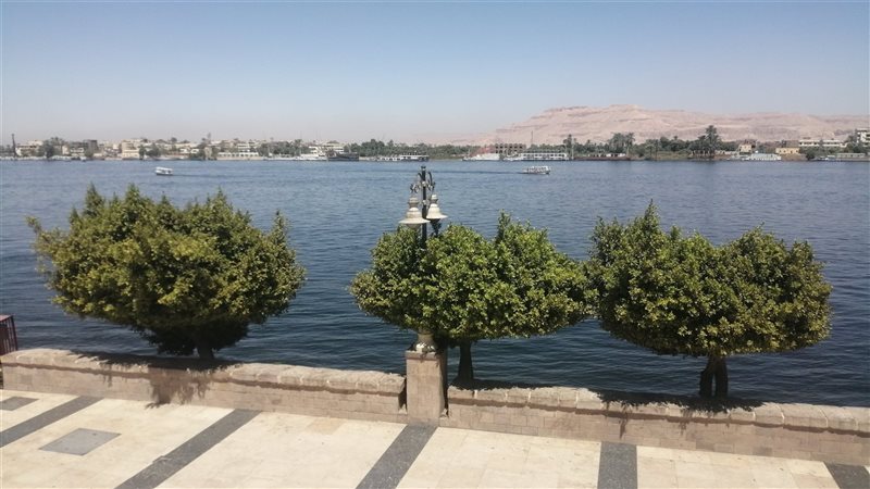 محافظة الأقصر، فيتو
