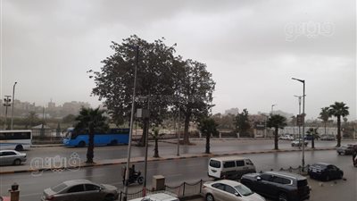حالة الطقس اليوم في القاهرة الكبرى والمحافظات (فيديو وصور)