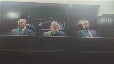  بعد تقييدها ضد مجهول من 7 سنوات، إسدال الستار في قضية مقتل فتاة المنصورة واغتصابها.. الأمن يكشف هوية المتهمين والجنايات تقضي بالإعدام (فيديو وصور)