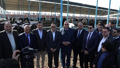 وزير الزراعة ومحافظ الشرقية يطلقان مبادرة احلم لتمويل رؤوس الأبقار الحلاب