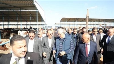 وزير الزراعة بالشرقية: إنتاج 4 ملايين جرعة لتحسين وتنمية الثروة الحيوانية (صور)