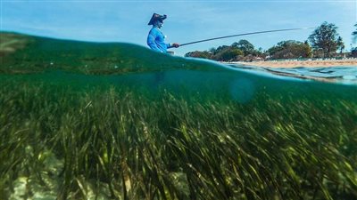 المصري للتأمين يرصد دور صناعة التأمين في تشكيل اقتصاد أزرق مستدام