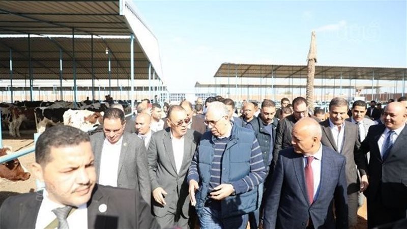 المبادرة الرئاسية