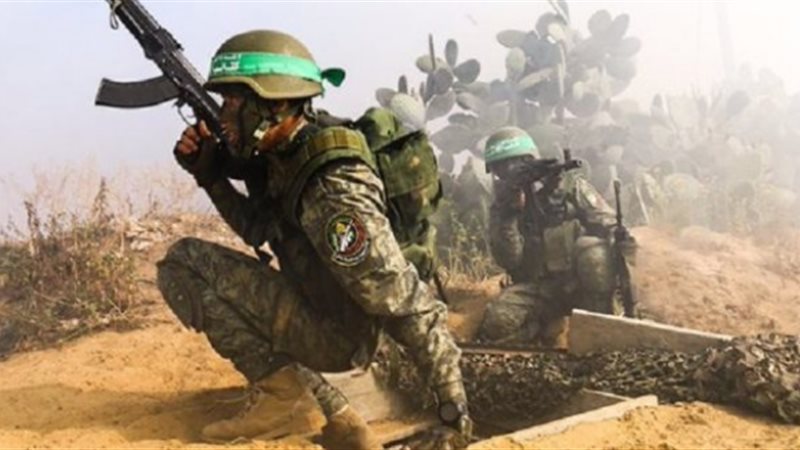عناصر المقاومة، فيتو