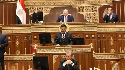 نائب بالشيوخ: المنطقة الاقتصادية بقناة السويس تتبنى بيئة أعمال صديقة للاستثمار