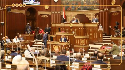 نائب بالشيوخ يستعرض تفاصيل طلب مناقشة بشأن المدارس التكنولوجية