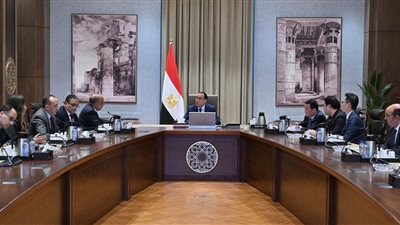 اجتماع عاجل لرئيس الوزراء لبحث سبل تصنيع الخلايا الشمسية وأشباه الموصلات