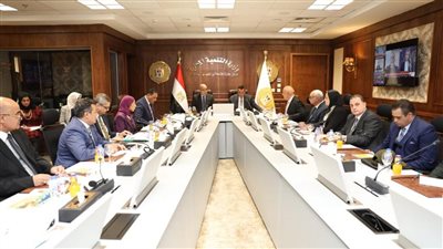 وزيرا التنمية المحلية والإسكان يتابعان مع محافظ مطروح المشروعات المقامة على أراضي الدولة