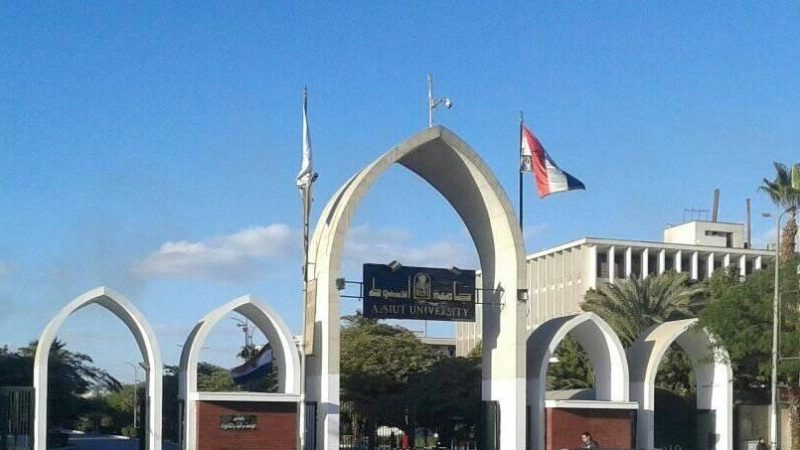 جامعة أسيوط، فيتو