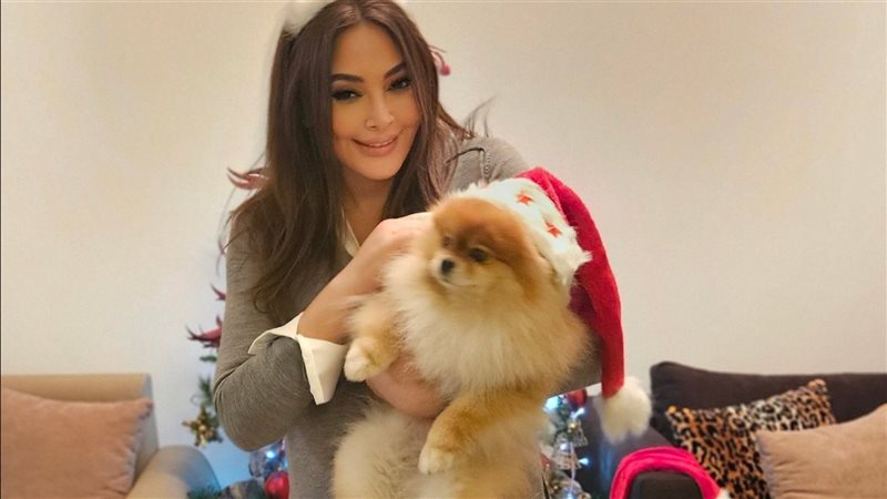إليسا، فيتو