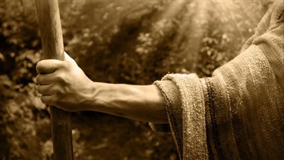 من غياهب الجُب إلى التمكين في الأرض، قصة النبي يوسف الصديق