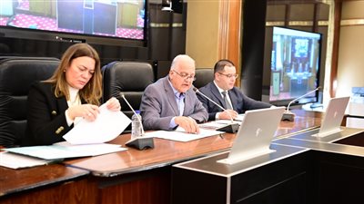 رئيس بيئة النواب: حوافز الهيدروجين الأخضر تهدف لتحويل مصر إلى مركز إقليمي للطاقة 