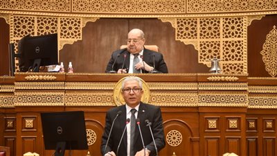 رئيس جهاز الثروة السمكية يكشف حجم الإنتاج وأسباب ارتفاع الأسعار 